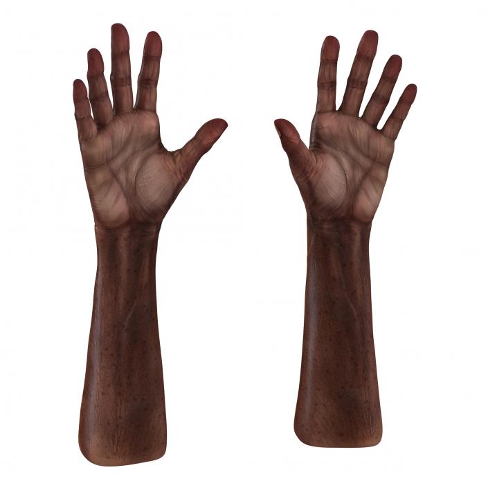 3D Old African Man Hands