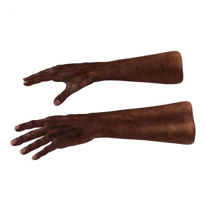 3D Old African Man Hands