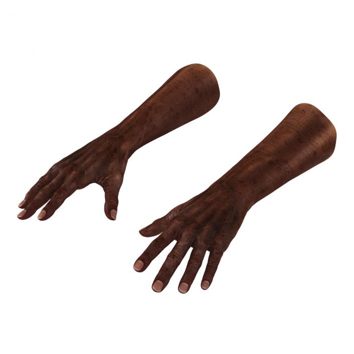 3D Old African Man Hands