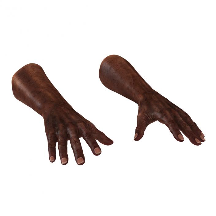 3D Old African Man Hands