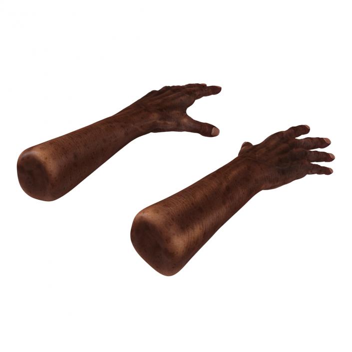 3D Old African Man Hands