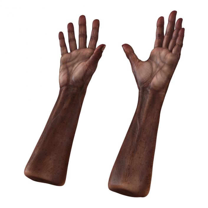 3D Old African Man Hands