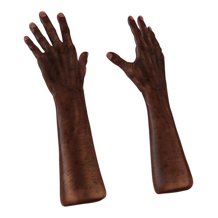 3D Old African Man Hands