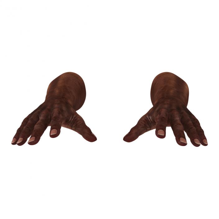 3D Old African Man Hands