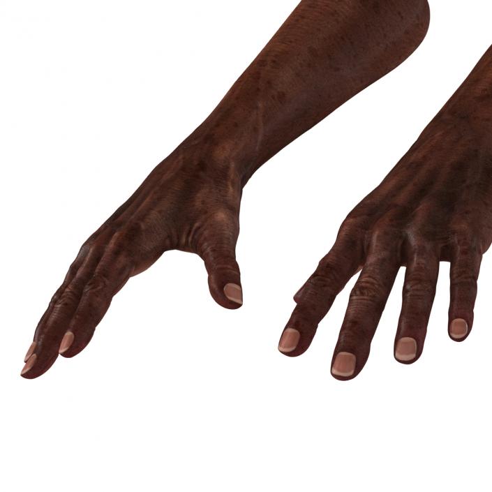 3D Old African Man Hands