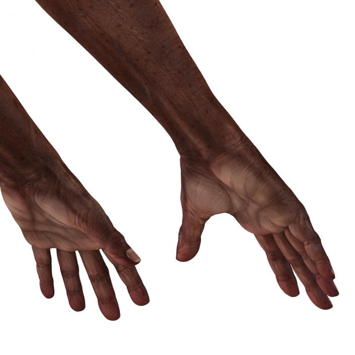 3D Old African Man Hands