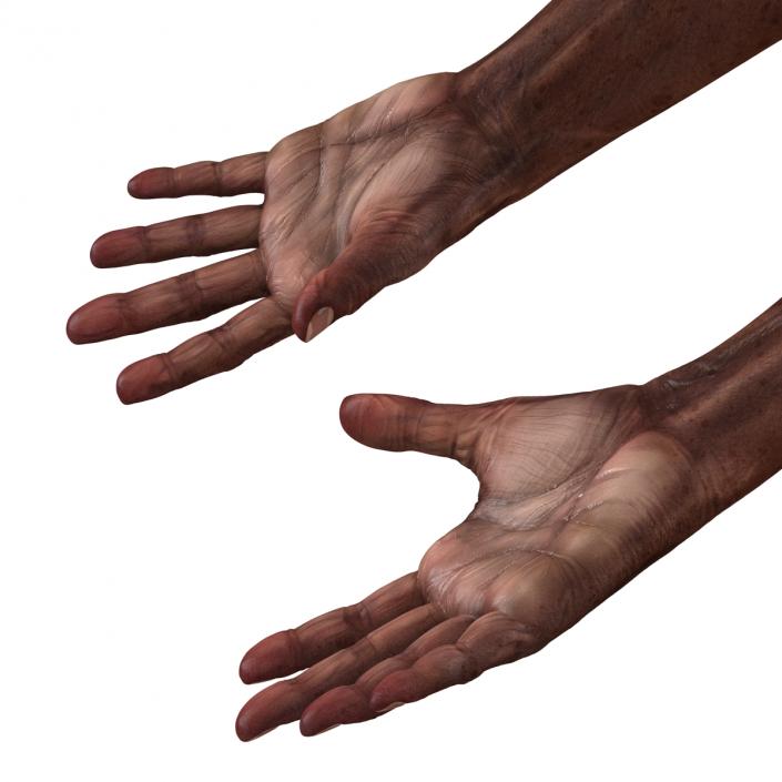 3D Old African Man Hands