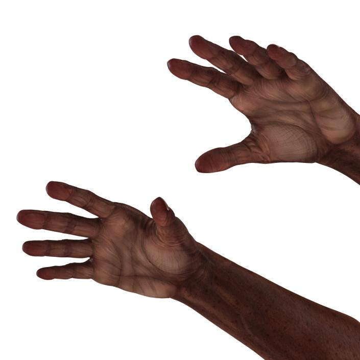 3D Old African Man Hands