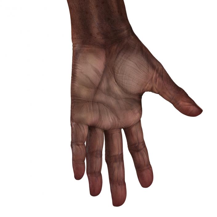 3D Old African Man Hands