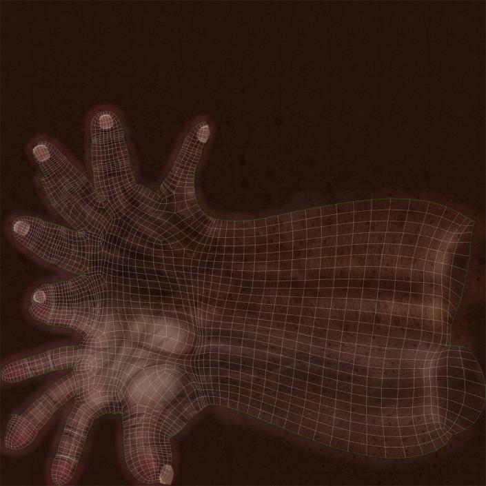 3D Old African Man Hands