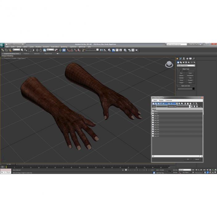 3D Old African Man Hands