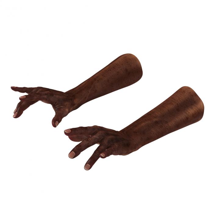 3D Old African Man Hands Rigged model