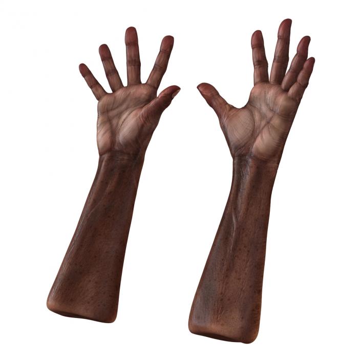 3D Old African Man Hands Rigged model