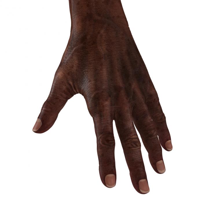 3D Old African Man Hands Rigged model