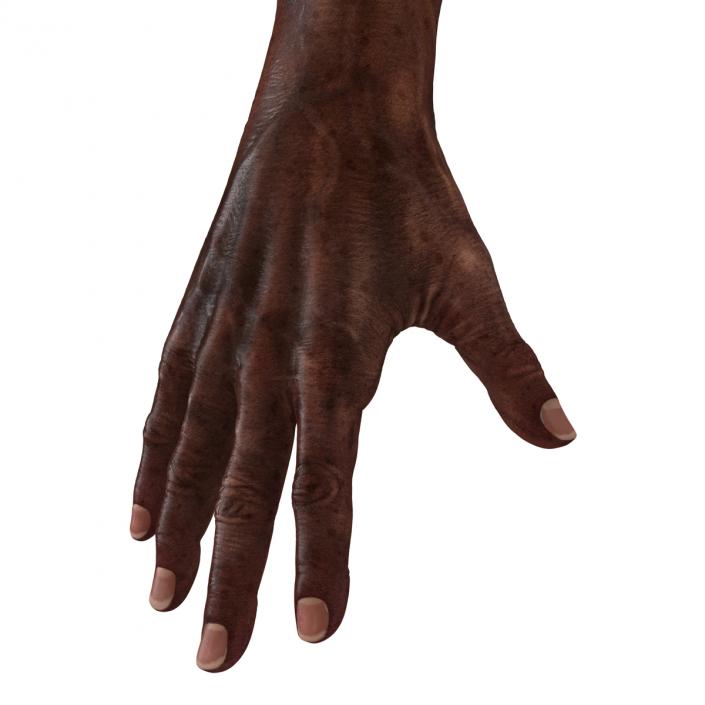 3D Old African Man Hands Rigged model