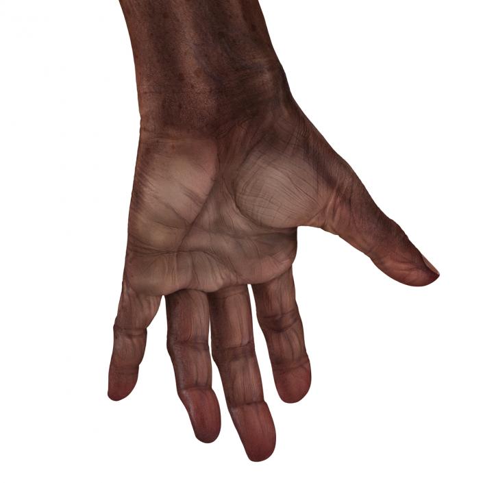 3D Old African Man Hands Rigged model