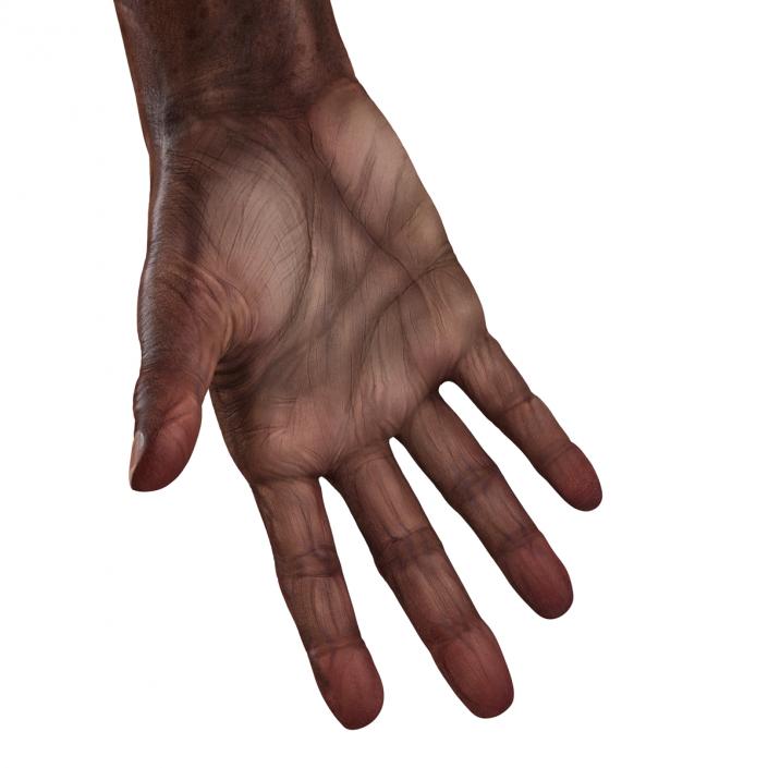 3D Old African Man Hands Rigged model