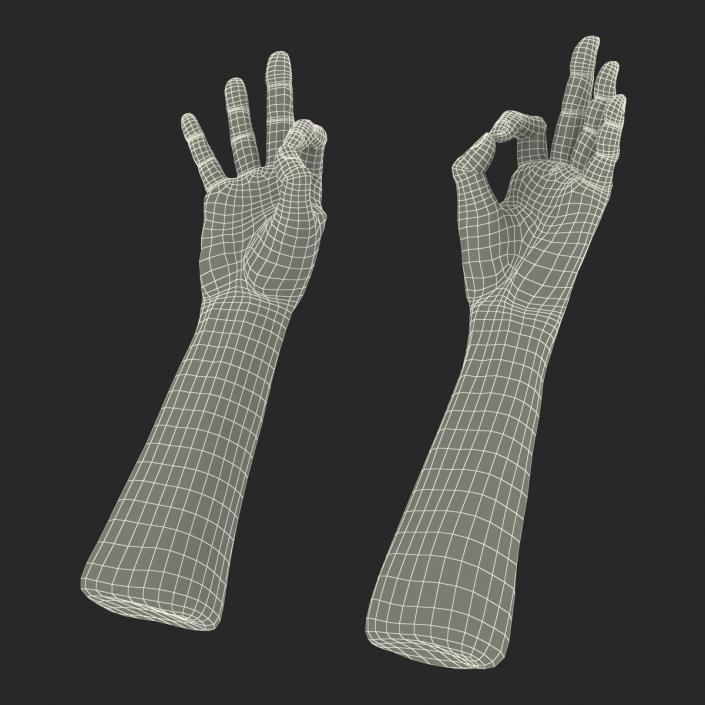 3D Old African Man Hands Rigged model