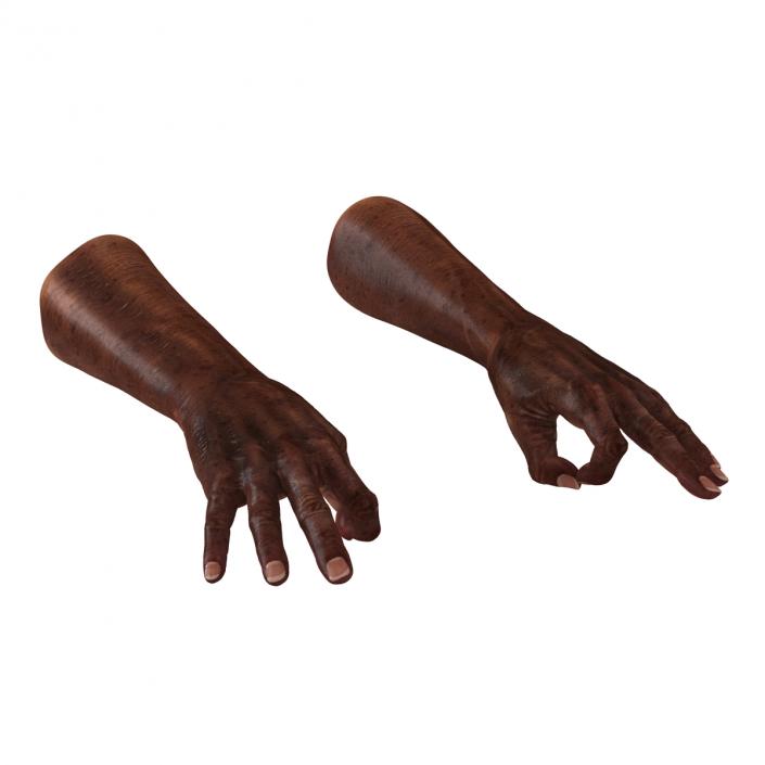 3D Old African Man Hands Pose 5 model