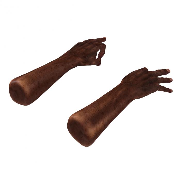 3D Old African Man Hands Pose 5 model