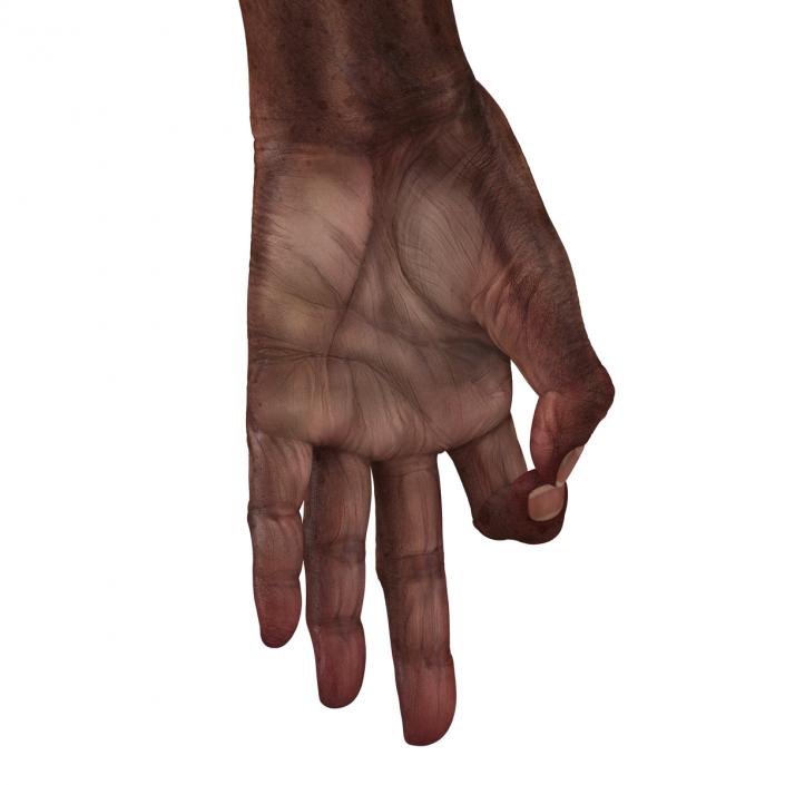 3D Old African Man Hands Pose 5 model