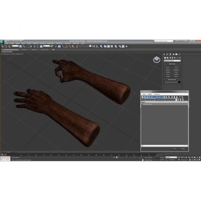 3D Old African Man Hands Pose 5 model