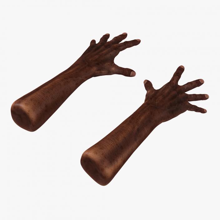 3D Old African Man Hands Pose 4 model