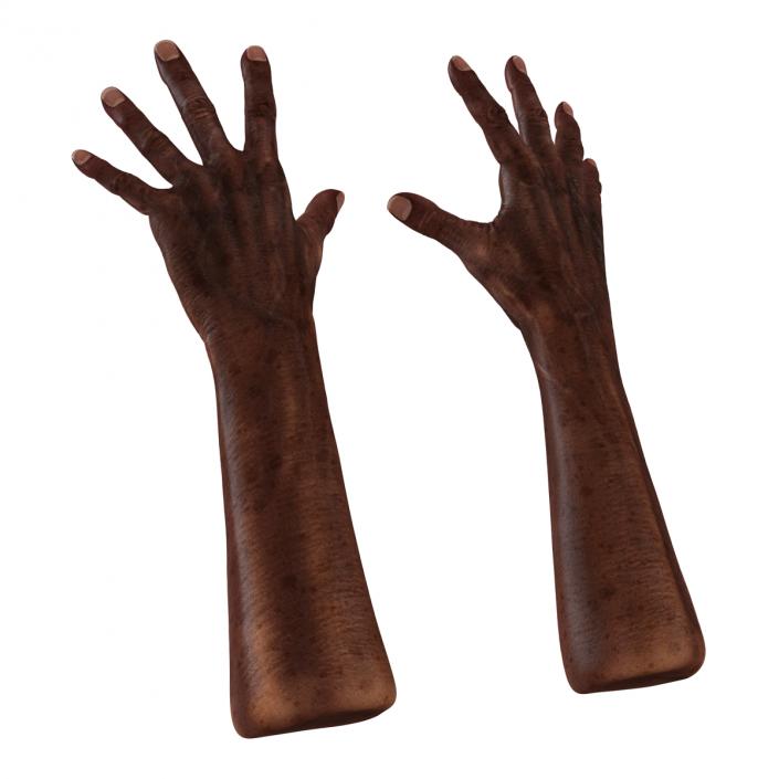 3D Old African Man Hands Pose 4 model