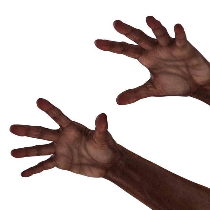 3D Old African Man Hands Pose 4 model