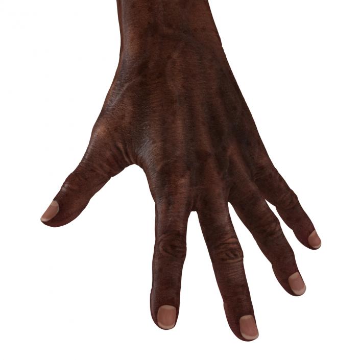 3D Old African Man Hands Pose 4 model