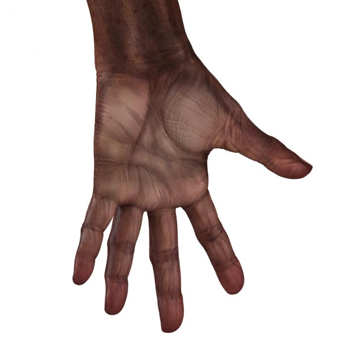 3D Old African Man Hands Pose 4 model