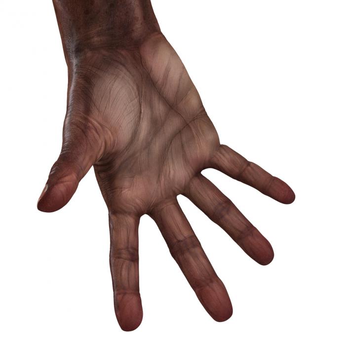 3D Old African Man Hands Pose 4 model