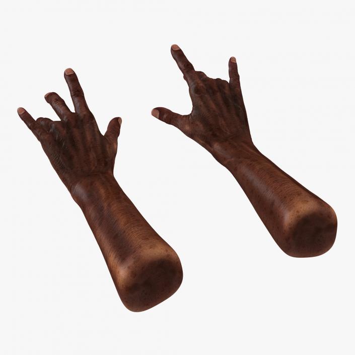 3D Old African Man Hands Pose 3 model