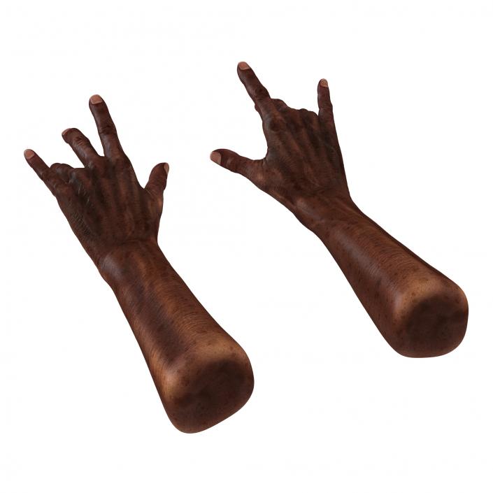 3D Old African Man Hands Pose 3 model