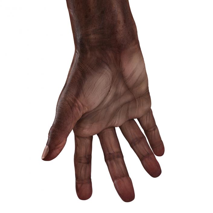 3D Old African Man Hands Pose 3 model