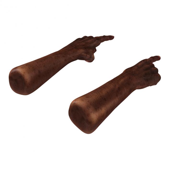 3D Old African Man Hands Pose 2 model