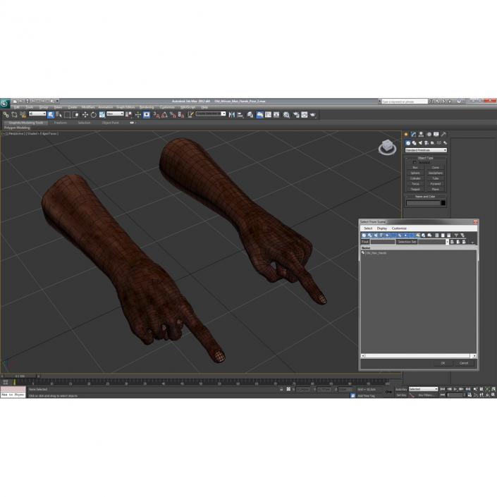 3D Old African Man Hands Pose 2 model