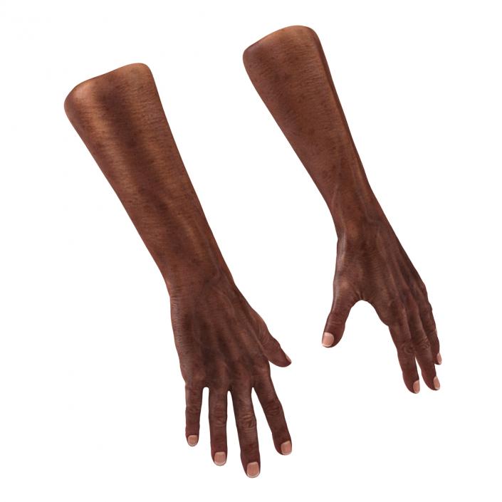 3D Old African Man Hands 2 model