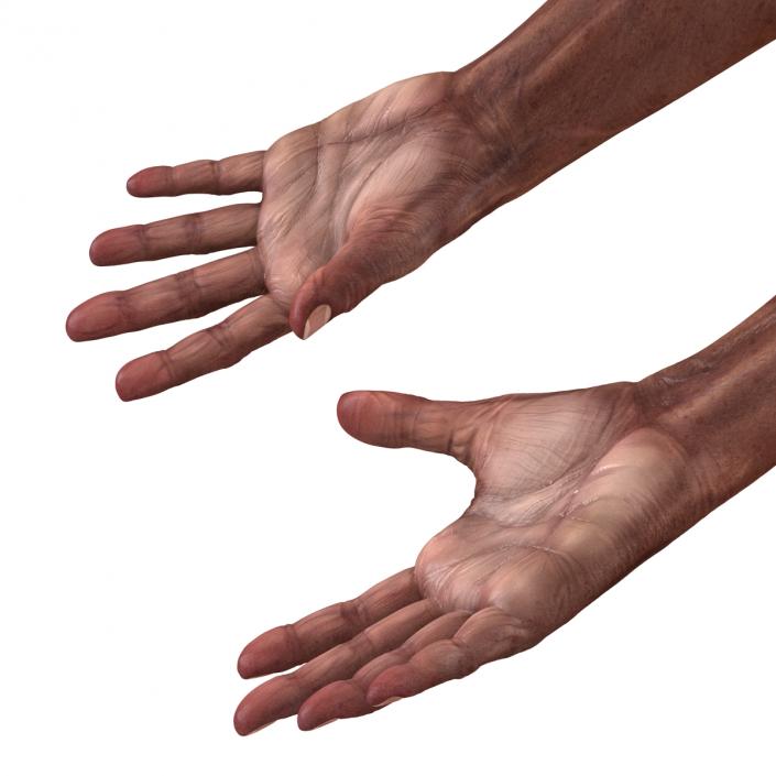 3D Old African Man Hands 2 model