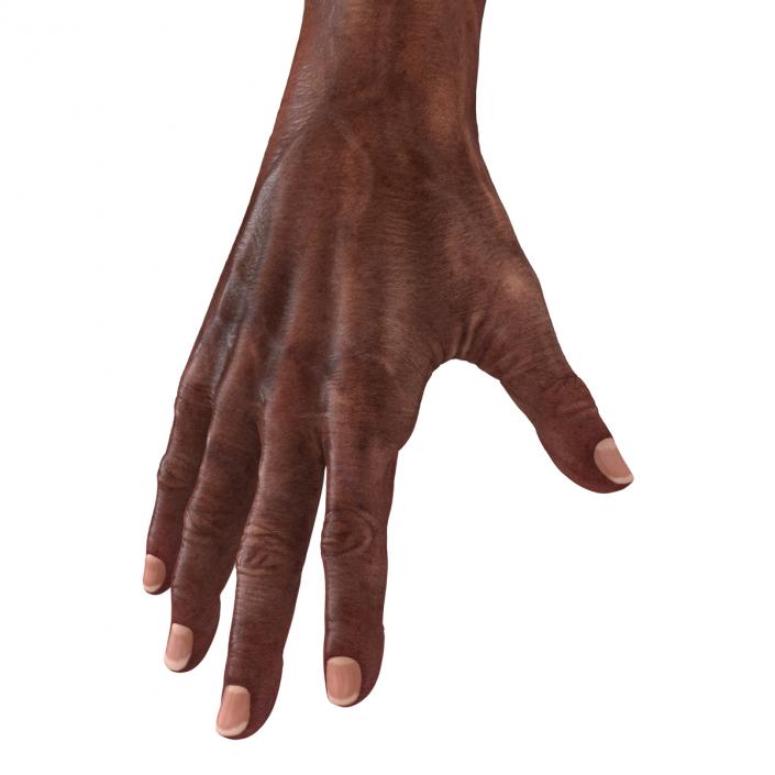 3D Old African Man Hands 2 model