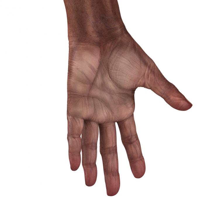 3D Old African Man Hands 2 model