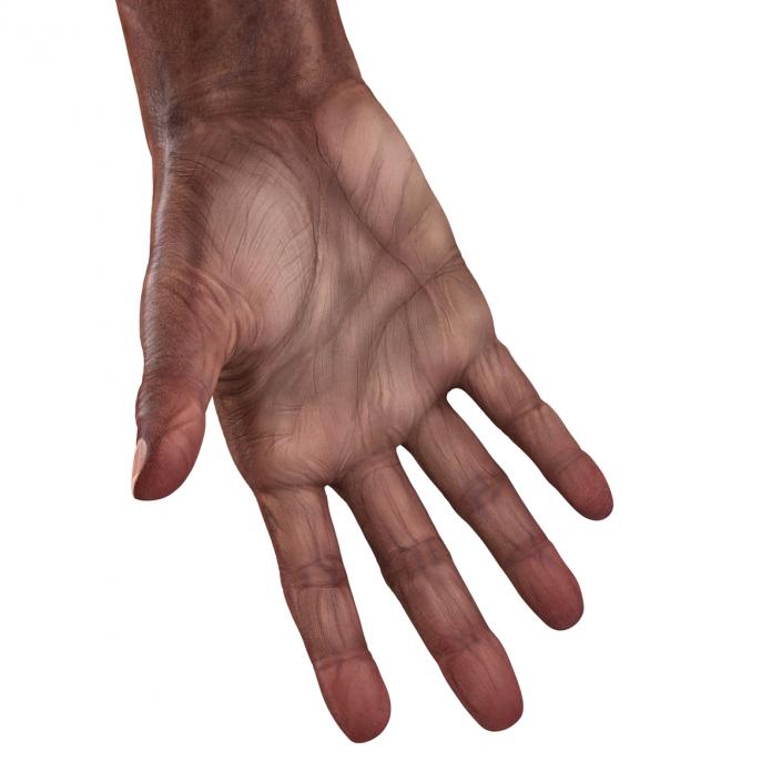 3D Old African Man Hands 2 model