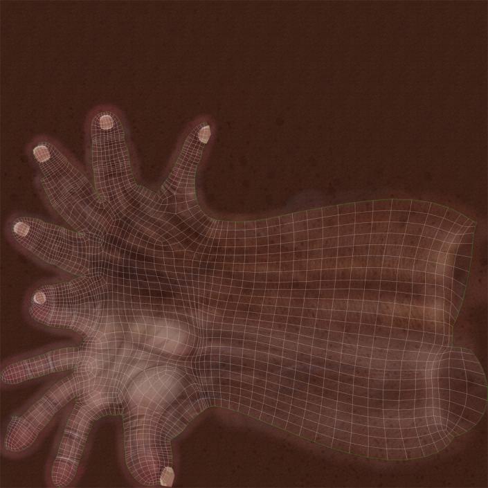 3D Old African Man Hands 2 model