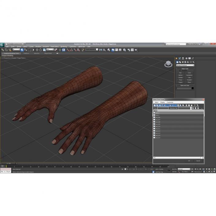 3D Old African Man Hands 2 model