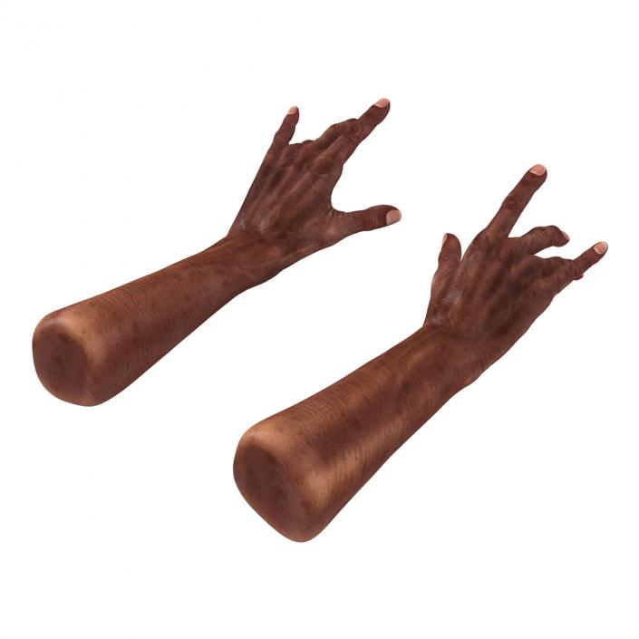 3D model Old African Man Hands 2 Rigged