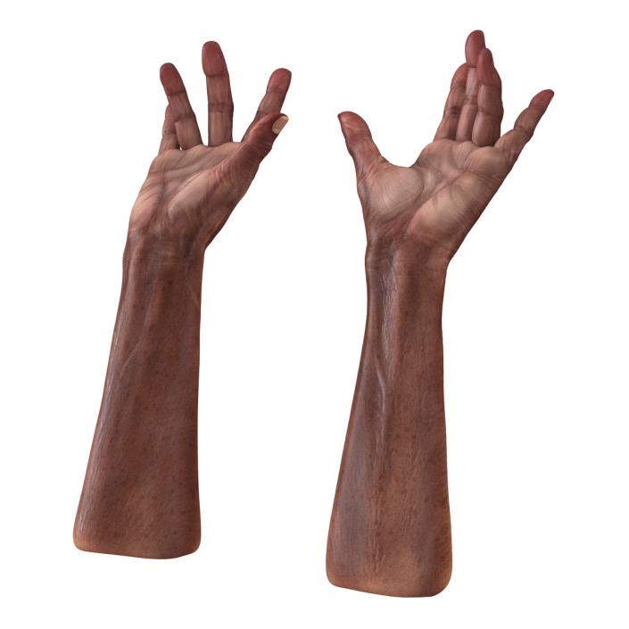 3D model Old African Man Hands 2 Rigged