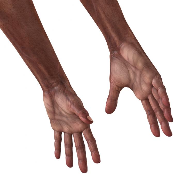 3D model Old African Man Hands 2 Rigged