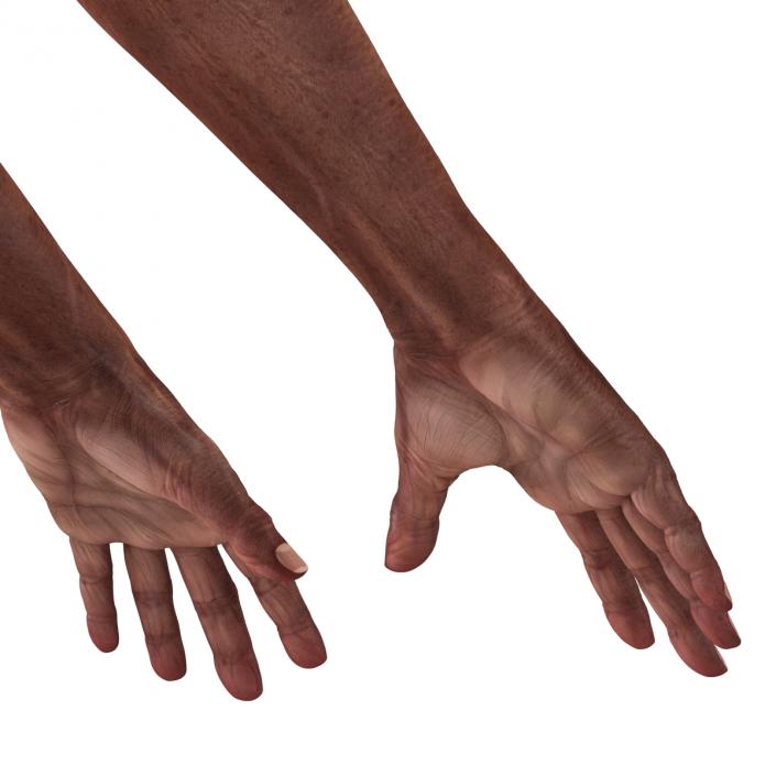 3D model Old African Man Hands 2 Rigged