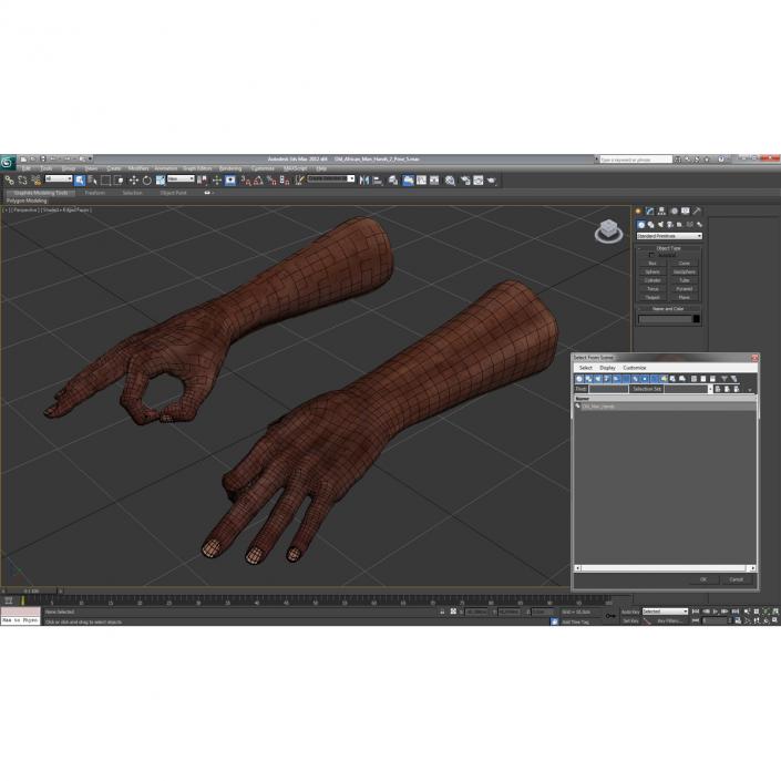 3D model Old African Man Hands 2 Pose 5