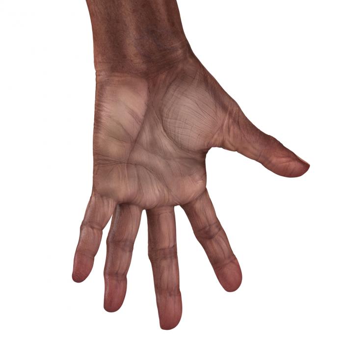 3D model Old African Man Hands 2 Pose 4